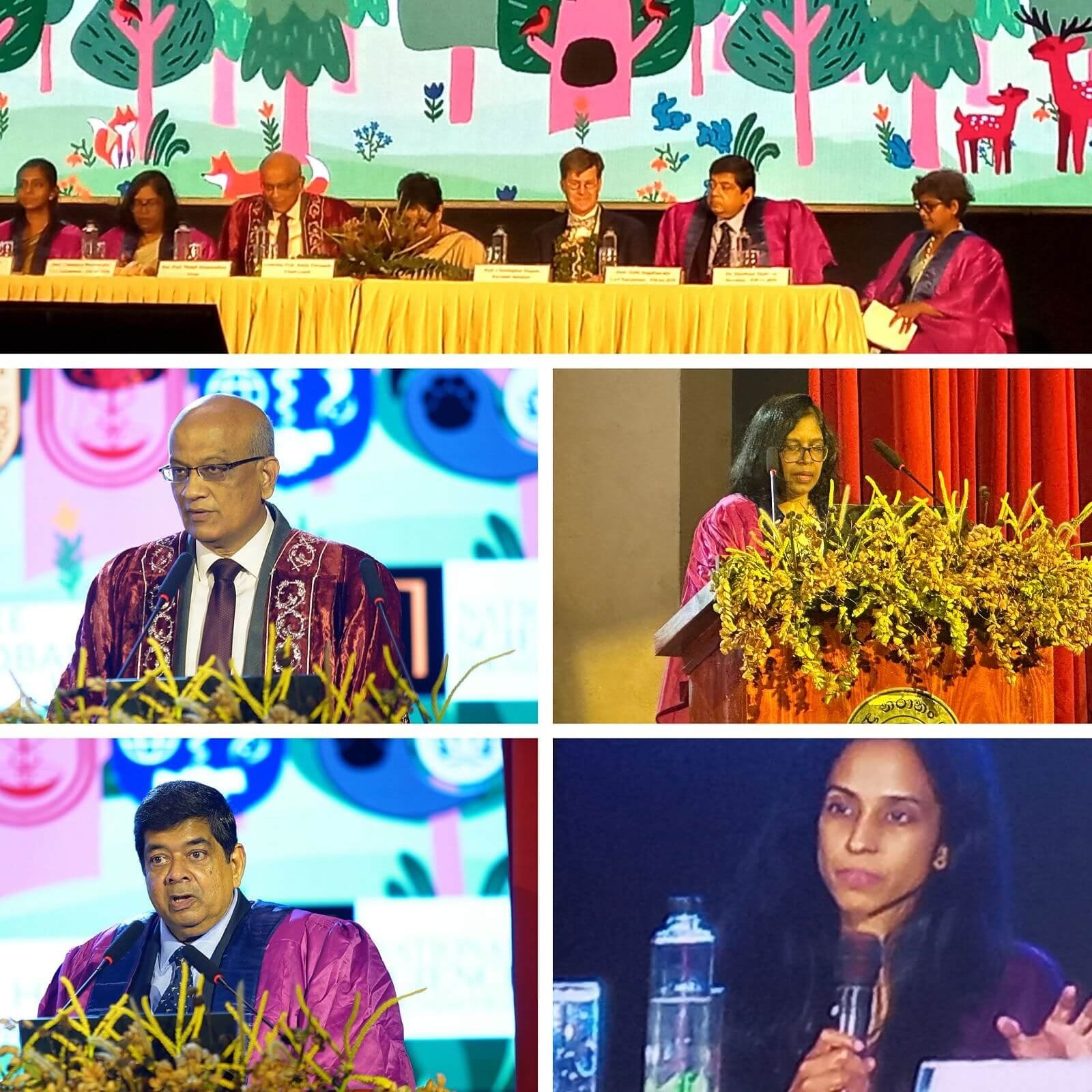 Faculty of Medicine Academic Sessions (FMAS) - 2025