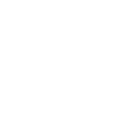 Capacity building